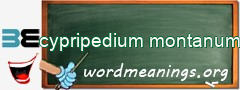 WordMeaning blackboard for cypripedium montanum
